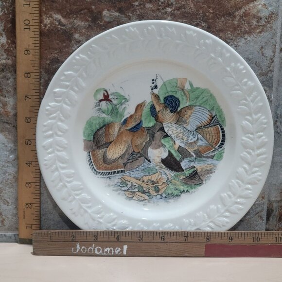 VTG Adams England Audubon Ruffed Grouse Birds of America Decorative Plate Chippe - Picture 4 of 14